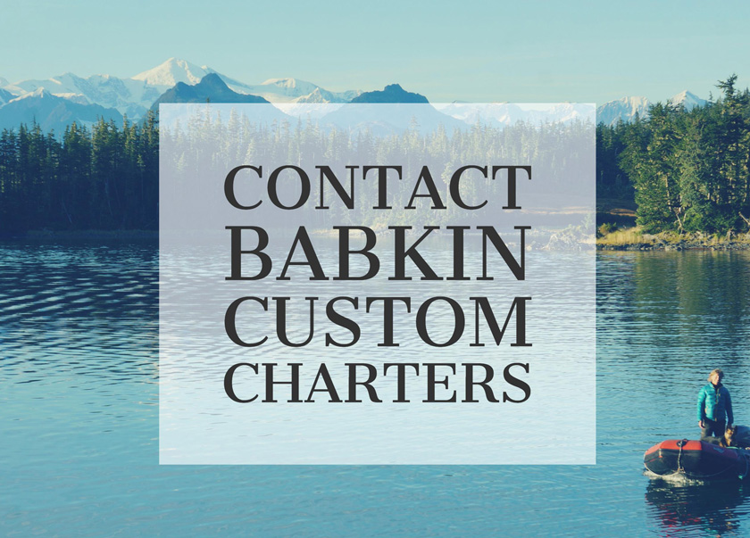 Babkin Custom Charters Prince William Sound Contact Header image