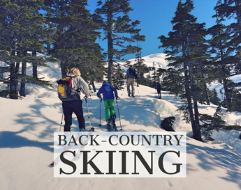 Alaskan charters back-country skiing image