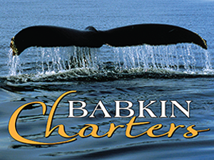 Babkin Alaska charter boats logo