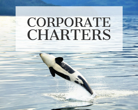 Corporate team building on custom Alaska boat charters