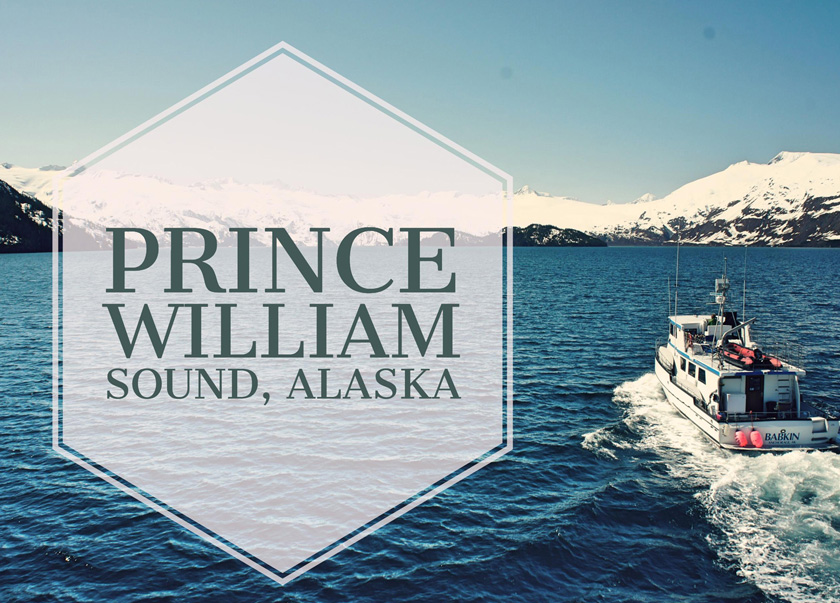 Babkin Prince William Sound Custom Charters Page Header Image